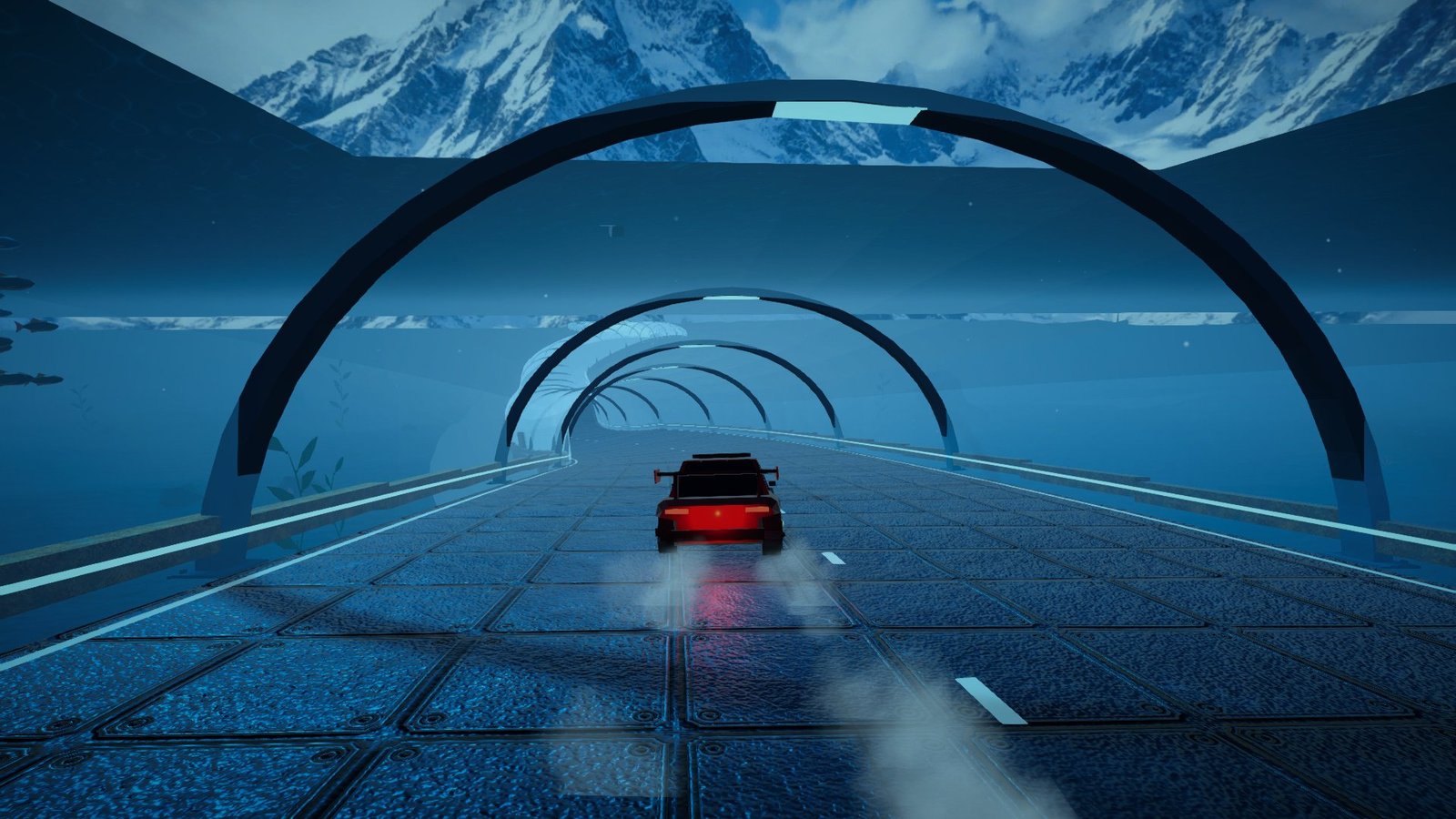 Diving under the sea in the glass tunnel
